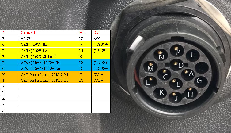 How To Connect Cat Pin Adapter By Jumperbox Bludee